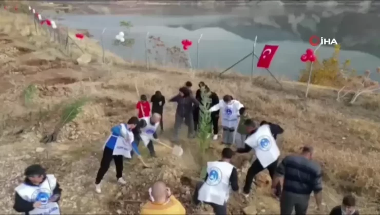 Tunceli’de şehit öğretmenler adına fidan dikildi