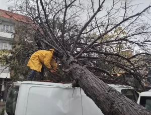 Turgutlu’da Rüzgar ve Sağanak Etkili