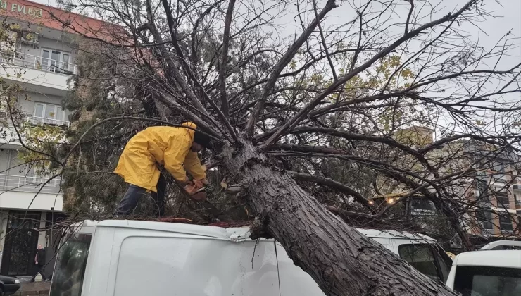 Turgutlu’da Rüzgar ve Sağanak Etkili