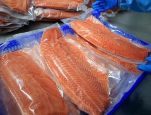 Türk somonuna Çin’de yoğun ilgi