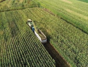 Türk tarım ürünleri için İngiltere pazarında yeni fırsatlar yolda
