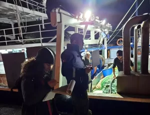 Türkeli’de Hamsi Denetimleri Devam Ediyor