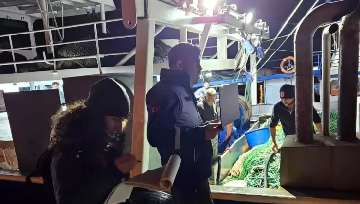 Türkeli’de Hamsi Denetimleri Devam Ediyor