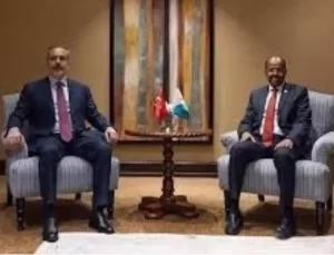 Türkiye-Afrika Ortaklığı Genişliyor