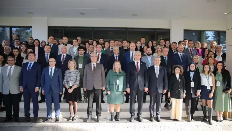 Türkiye Orman Varlığında Dünya Altıncısı