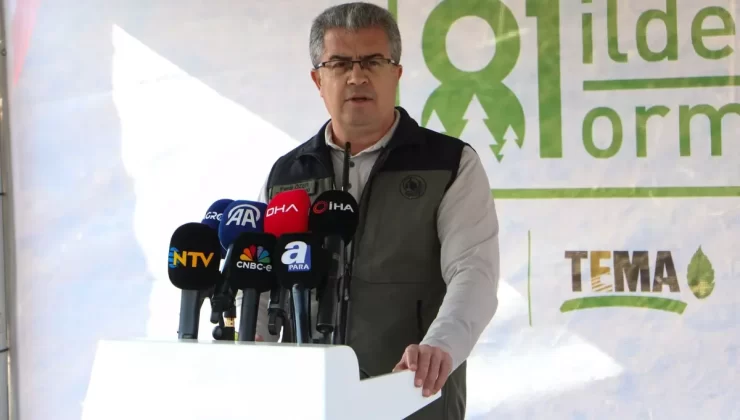 Türkiye Ormanları Yılda 44 Milyon Ton Oksijen Üretiyor