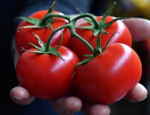 Türkiye tarımsal üretimde dünyada ilk sıralarda