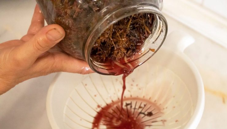 Türkiye’de kendiliğinden yetişen doğal ilaç: Dünya genelinde en çok ticareti yapılan bitkiymiş