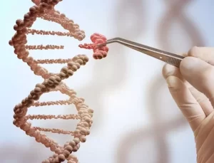 Türklerin en çok benzediği millet belli oldu