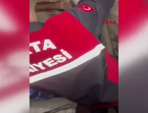 Tuvaletten Kurtarılan Yavru Kedi