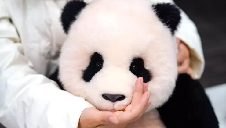 Üç Boyutlu Panda Oyuncakları