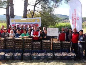 Ula Sarımsağı Projesi Devam Ediyor