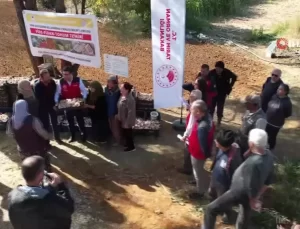 Ula Sarımsağında İmece Üretim