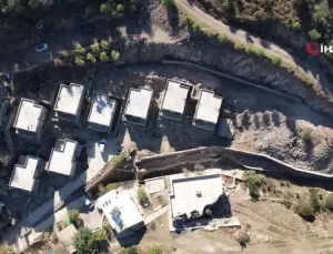 Ünlü Sanatçı Suavi’ye Ağaç Katliamı Cezası