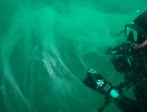 Uzmanlar Marmara için uyardı