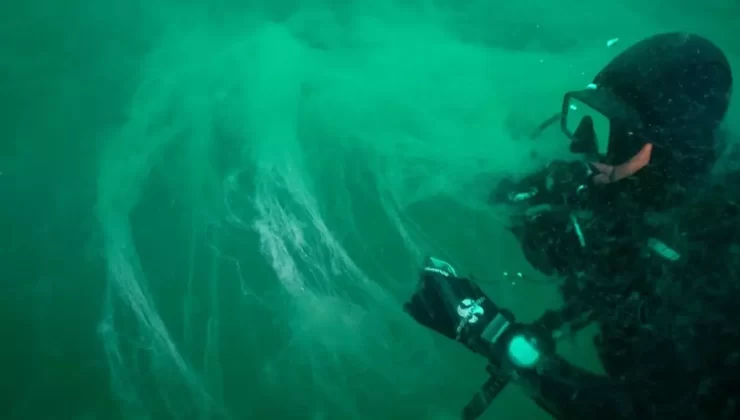 Uzmanlar Marmara için uyardı