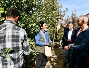 Vali Çiçekli Elma Hasadına Katıldı