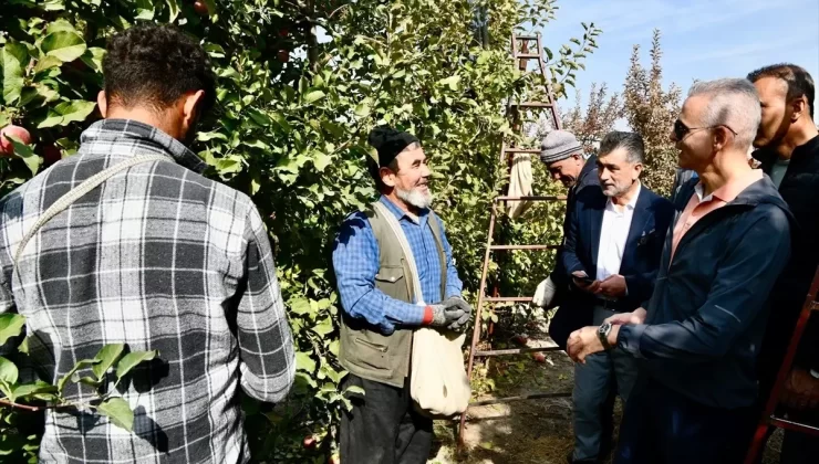 Vali Çiçekli Elma Hasadına Katıldı