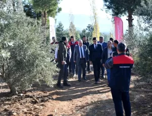 Vali Coşkun Beyağaç’ta Zeytin Hasadına Katıldı