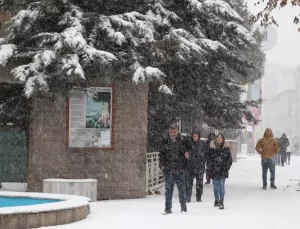 Van ve Bitlis’te Kar Yağışı Hayatı Olumsuz Etkiledi