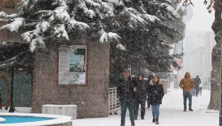 Van ve Bitlis’te Kar Yağışı Hayatı Olumsuz Etkiledi