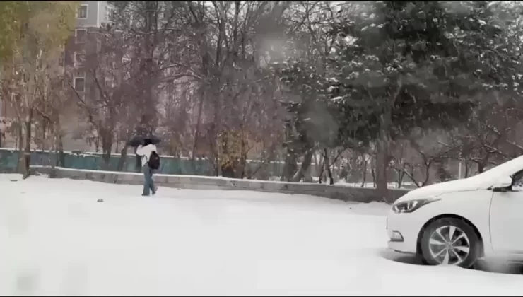 Van’da Kar Yağışı Sebebiyle 158 Yerleşim Yeri Yolu Kapandı