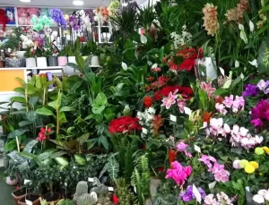 Van’da Öğretmenler Günü Hazırlıkları Başladı