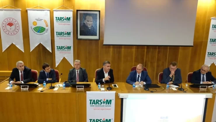 Yağlık Ayçiçeği Sigortada!