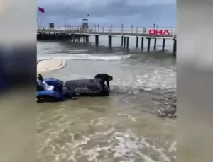 Yağmur Sonrası Denizden Çıkarılan Traktör