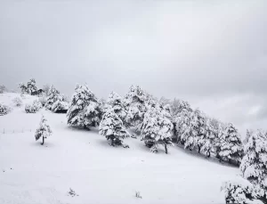 Yakakent’te Kar Yağışı Etkili Oldu
