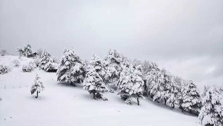 Yakakent’te Kar Yağışı Etkili Oldu