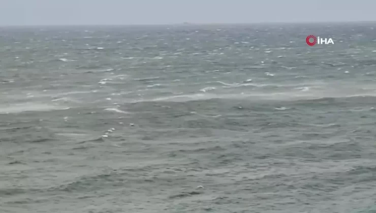 Yalova’da Lodos: Ağaçlar Devrildi