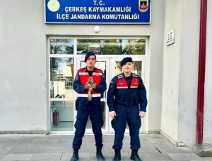 Yaralı Şahin Tedavi Altına Alındı