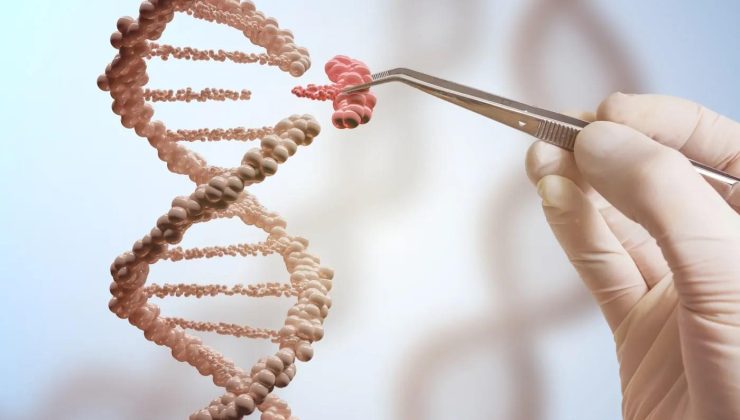 Yaşam süresini yüzde 30 uzatan bir gen keşfedildi