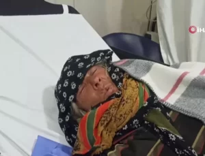 Yaylada Kaybolan Çift Kuzularını Bırakmadı