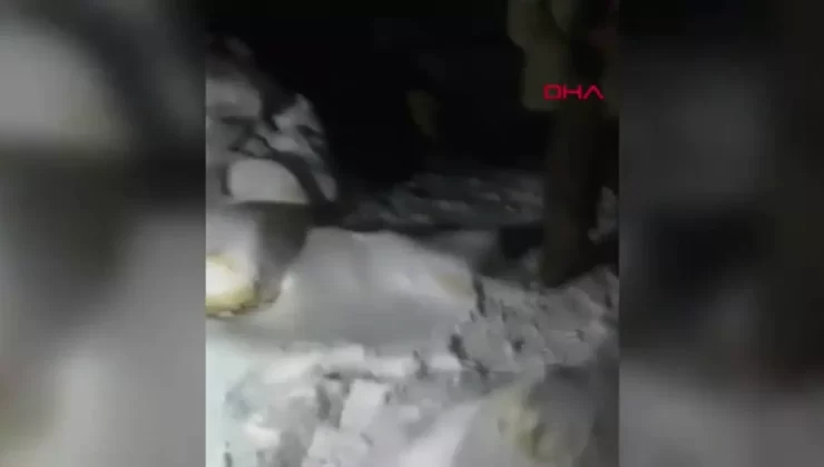 Yaylada Tipiye Yakalanan Çobandan Biri Hayatını Kaybederken Diğerleri Kurtarıldı