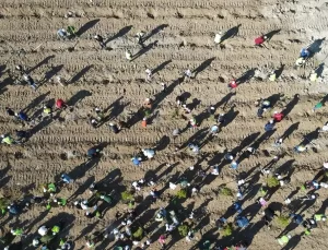 Yeniköy’de Dev Rehabilitasyon Projesi