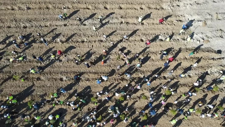 Yeniköy’de Dev Rehabilitasyon Projesi