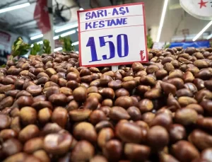 Yerli Kestane Bol, Çin Kestanesi Yok