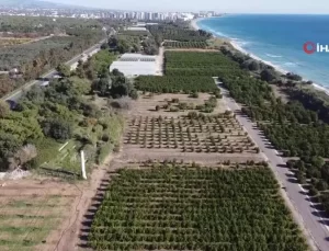 Yerli Yazılımla Tarımda Verim Artışı