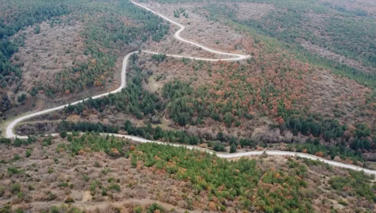 Yeşilyurt’ta Sonbahar Güzelliği