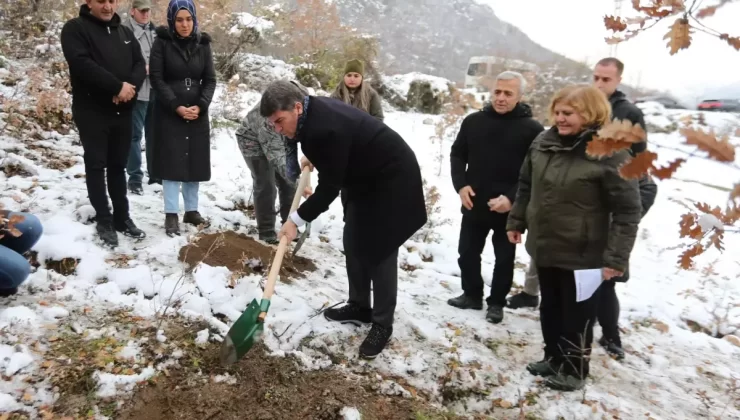 Yitik Lale 132 Yıl Sonra Amasya’ya Kavuştu