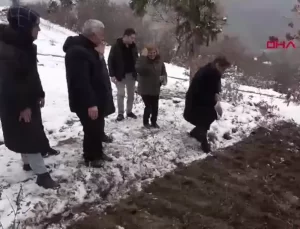 Yitik Lale 132 Yıl Sonra Ana Vatanına Kavuştu