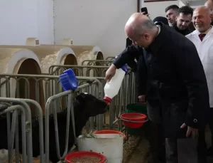 YÖK Başkanı Özvar, Niğde’de Tarımsal Araştırma Merkezi’nde incelemede bulundu Açıklaması