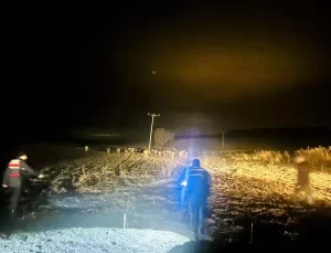 Yozgat’ta Kayıp Büyükbaş Hayvanlar Bulundu