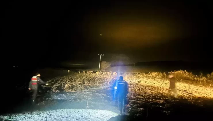 Yozgat’ta Kayıp Büyükbaş Hayvanlar Bulundu