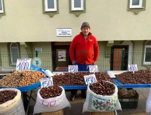 Yozgat’ta Kestane Sezonu Başladı