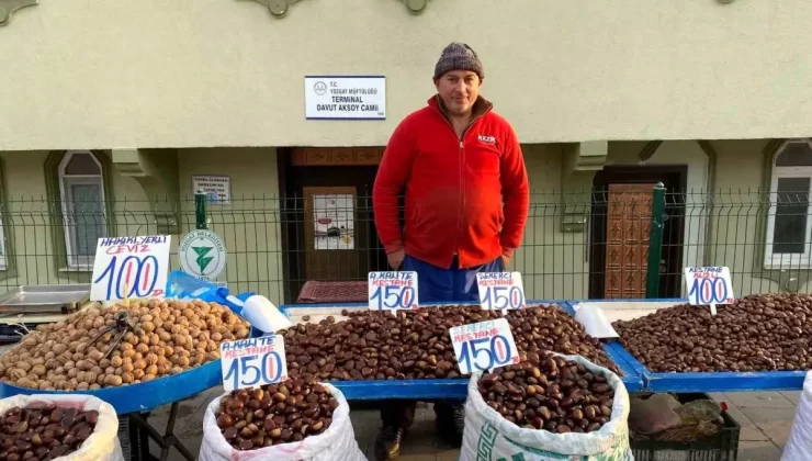 Yozgat’ta Kestane Sezonu Başladı
