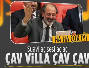 Yücel Arzen Hacıoğulları’ndan Suavi’nin ağaç katliamana ‘Çav Villa’ yorumu