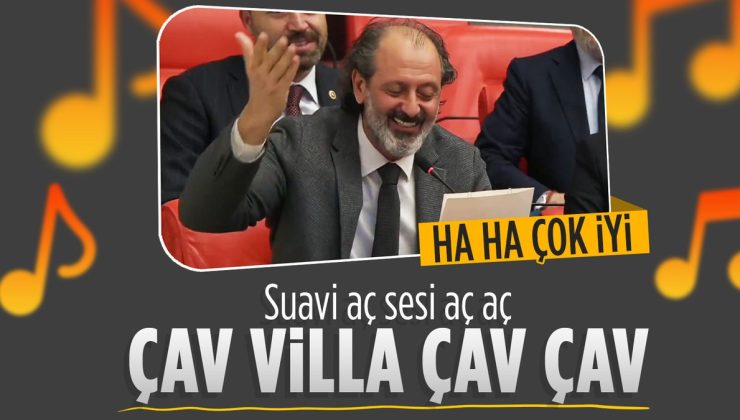 Yücel Arzen Hacıoğulları’ndan Suavi’nin ağaç katliamana ‘Çav Villa’ yorumu